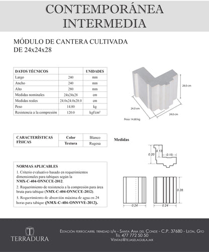 Contemporánea Intermedia