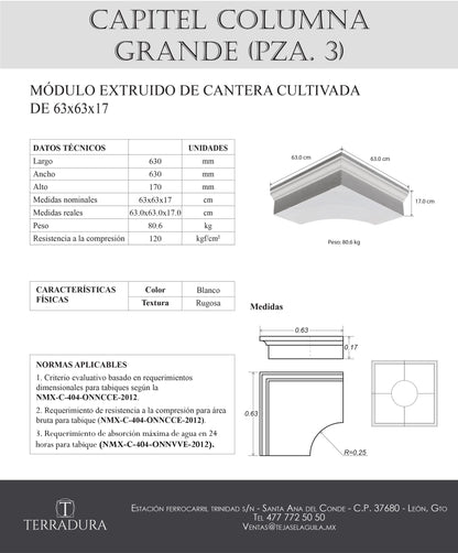 Capitel columna grande (pieza 3)